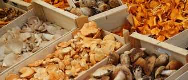 Event-Image for 'Kochworkshop Pilzk&uuml;che Reloaded'