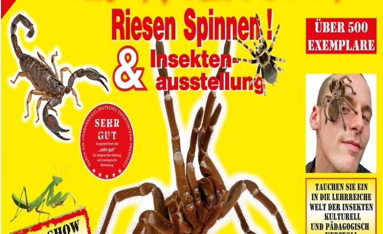 Insectophobie Riesen Spinnen &amp; Insekten Ausstellung ${singleEventLocation} Tickets