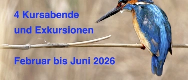 Event-Image for 'Grundkurs Vogelkunde Goldach'