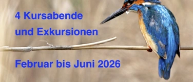 Event-Image for 'Grundkurs Vogelkunde Gossau'