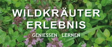 Event-Image for 'Wildkräuter-Erlebnis'