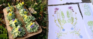 Event-Image for 'Plantes sauvages et impression d&rsquo;empreintes v&eacute;g&eacute;tales'