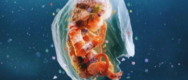 Event-Image for 'Plastic People - Film & Diskussion'