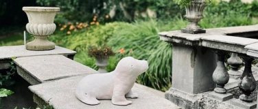 Event-Image for 'Ausstellung "Measuring Luck" von Naiana Vatavu'
