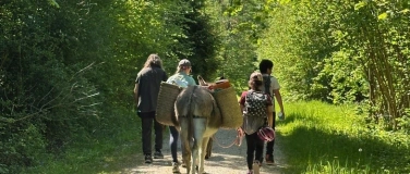 Event-Image for 'Pony- und Eseltag (Kursnr. 1.3e)'