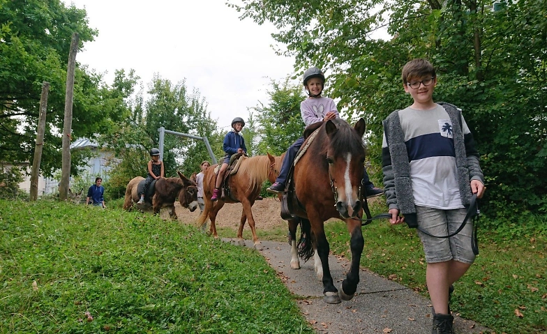 Event-Image for 'Ponyreiten'