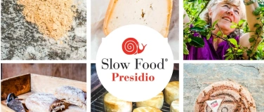 Event-Image for 'Sensorik-Workshop: Schweizer Presidi Brot, Backwaren & Käse'