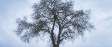 Event-Image for 'Im Dialog der Stille - Malerei und Fotografie im Einklang'