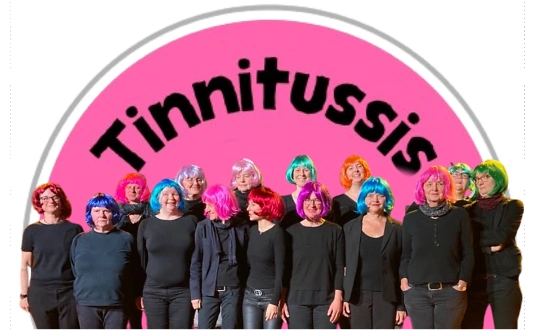 Sponsoring-Logo von STIMMT SO! Frauen &uuml;ber Frauen &ndash; Melodiva & die Tinnitussis Event