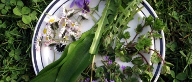 Event-Image for 'Essbare Wildpflanzen & die Gr&uuml;ndonnerstags-Suppe'