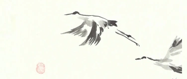 Event-Image for 'Chorkonzert SINGEREI Winterthur fliegt durch die L&uuml;fte'