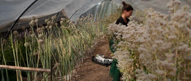 Event-Image for 'Führung & Lesung: Vielfalt, Landwirtschaft und Zuversicht'