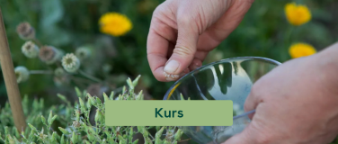 Event-Image for 'ProSpecieRara Kurs: Samenbaukurs f&uuml;r Einsteiger:innen'