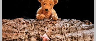 Event-Image for 'Pu der Bär'
