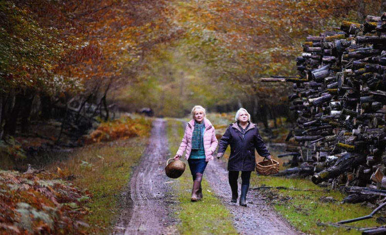 Event-Image for 'Quand vient l'automne'