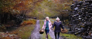 Event-Image for 'Quand vient l'automne / Tag des Kinos'