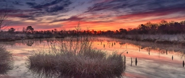 Event-Image for 'Erlebnisse im und rund um das Ochsenmoor'