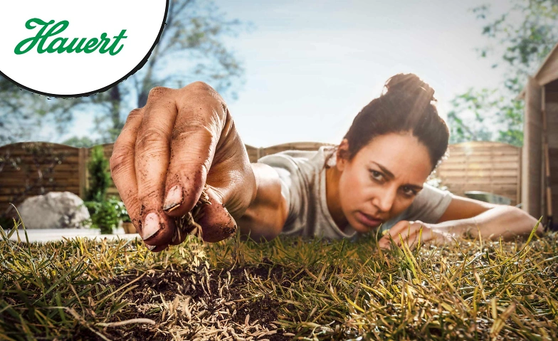 Formation sur le gazon Hauert Bienne HORNBACH Biel/Bienne, rendez-vous: information principale Billets