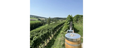 Event-Image for 'Pro Senectute Wanderung'