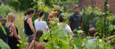 Event-Image for 'Rebberge im Wandel'