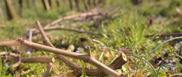 Event-Image for 'Weindegustation im gebana Store mit dem Weingut Stoll'