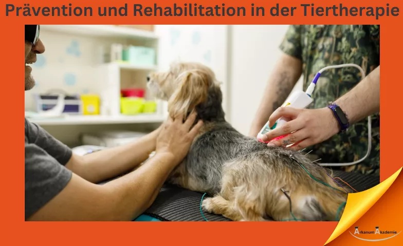 Prävention und Rehabilitation in der Tiertherapie ArkanumAkademie, Oberrindal 39, 9604 Oberrindal Billets