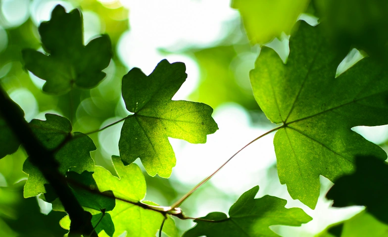 Somatic Tracking – gemeinsam zur Ruhe kommen