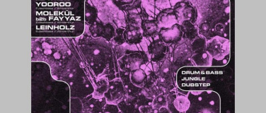 Event-Image for 'Reset Vol. 24, Sl8r, Diflora, Bass D, Yooroo, Fayyaz b2b Mol'