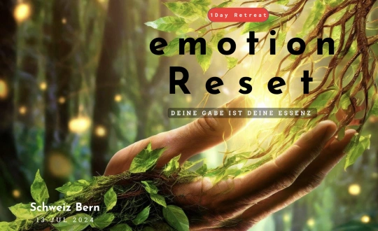 Sponsoring logo of EmotionReset event