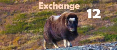 Event-Image for 'Random Facts Exchange 12th Edition'