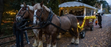 Event-Image for 'Kutschenfahrten Rheinfelden: Schiffl&auml;nde - Feldschl&ouml;sschen'