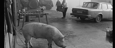 Event-Image for 'Vernissage Jahrbuch Solothurnische Geschichte 2025'