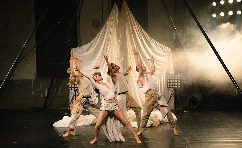 Event-Image for 'SAMAR BY RIGOLO, Tanztheater - Eisenwerk Frauenfeld'
