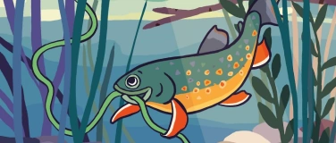 Event-Image for 'Krabbelkonzert - ein Konzert f&uuml;r die Kleinsten'