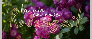 Event-Image for 'Rosenfest in Wängi mit exklusivem Sortiment an robusten Rose'