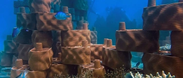 Event-Image for 'Talk mit Rrreefs: Korallenriffe retten mit dem 3D-Drucker'