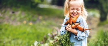 Event-Image for 'Naturama Kinderclub: Knabberspass auf dem Rüeblifeld'