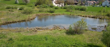 Event-Image for 'Rückhaltebecken Hegmatten: Ein Gewinn für Mensch und Natur'