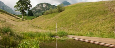 Event-Image for 'Yoga Spätsommer-Retreat – 27.–30. August 2026 (Do–So)'