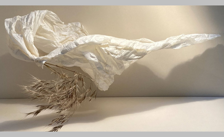 Event-Image for 'Ruth Zwiener: Jubil&auml;umsausstellung &laquo;40 Jahre Kunstschaffen&raquo;'