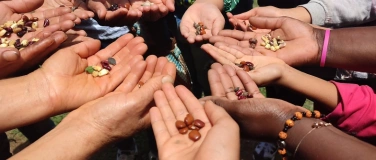 Event-Image for 'S&auml;en trotz steinigem Boden'