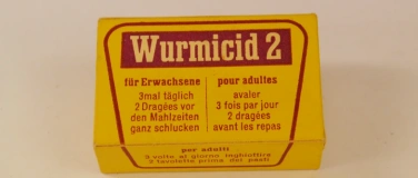 Event-Image for 'Öffentliche Führung: Ungebetene Gäste'