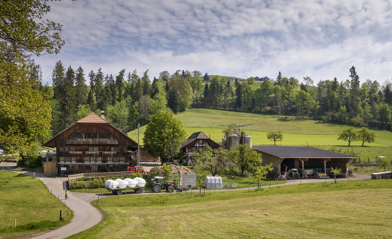 Bachwochen Thun: Hofkonzert Schlafhus Tickets
