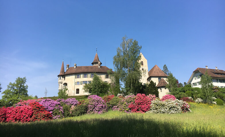 Event-Image for 'Gartentage im Park St. Andreas'