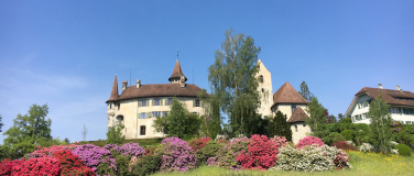 Event-Image for 'Gartentage im Park St. Andreas'