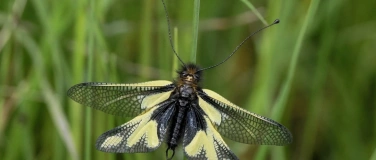 Event-Image for 'Naturjuwelen in Eglisau und Umgebung'