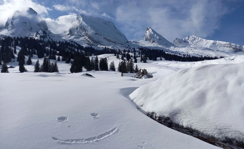 Schneeschuhtour ins Fr&uuml;mseltal - 2 Tage mit Fondueplausch ${singleEventLocation} Billets