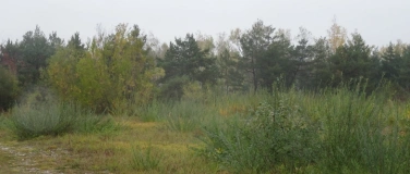 Event-Image for 'Schnipp schnapp, Ruten ab - Bastelzweige selber schneiden'