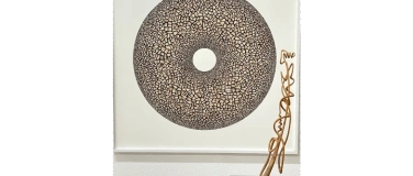 Event-Image for 'Kunstausstellung 'Allt&auml;gliches' mit Hansruedi Steiner'