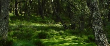 Event-Image for 'Meditation - ein Einblick'